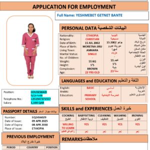 YESHMEBET BANTEDomestic worker –  Ethiopia